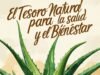 Aloe Vera: El Tesoro Natural para la Salud y el Bienestar