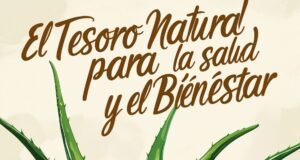 Aloe Vera: El Tesoro Natural para la Salud y el Bienestar