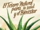 Aloe Vera: El Tesoro Natural para la Salud y el Bienestar