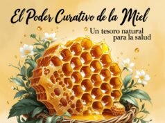 El Poder Curativo de la Miel: Un Tesoro Natural para la Salud